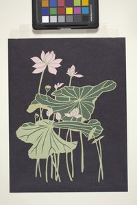Lotus - Unbekannter Künstler