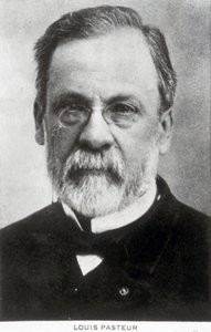 Louis Pasteur, chimiste et microbiologiste français, vers 1885 - Unbekannter Künstler