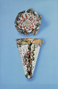 Boîtes à priser en or Louis XV en forme de coquillages par B. Sagaret, Paris - Unbekannt
