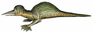 Dragon marin (Draco marinus), xylographie tirée de Paralipomena accuratissima historiae omnium animalium quae in voluminibus Aldrovandi desiderantur/Bartholomaeus Ambrosinus... summo labore collegit; Marcus Antonius Berna bibliopola bononiensis propri
