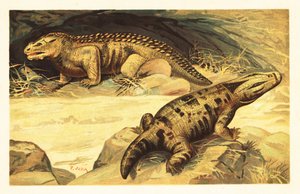 Mastodonsaurus et Pareiasaurus