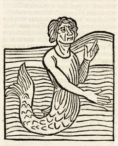 Triton