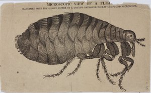 Microscopie - Unbekannt