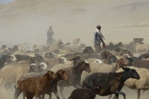 Tentes nomades entre Tamar et Ashkhaneh, Iran 2022