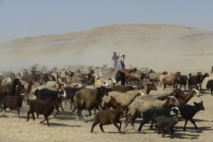 Tentes nomades entre Tamar et Ashkhaneh, Iran 2022