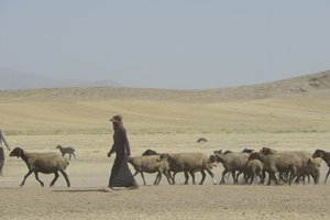 Tentes nomades entre Tamar et Ashkhaneh, Iran 2022 - Unbekannter Künstler