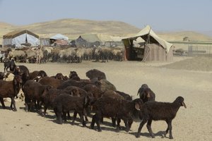 Tentes nomades entre Tamar et Ashkhaneh, Iran 2022