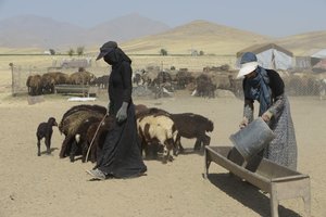 Tentes Nomades entre Tamar et Ashkhaneh, Iran 2022