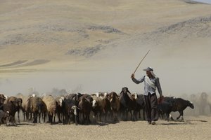 Tentes Nomades entre Tamar et Ashkhaneh, Iran 2022 - Unbekannter Künstler