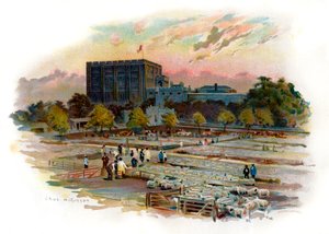 Château de Norwich - Unbekannter Künstler