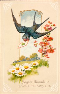 Vieille carte postale / Hirondelle / Message