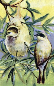 Ornithologie : rémiz (Remiz pendulinus) (Rémiz penduline) Chromolithographie XIXe siècle Collection privée - Unbekannter Künstler