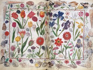 Pages de l