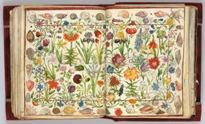 Pages de l