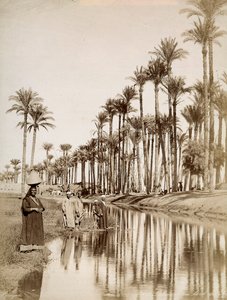 Palmiers le long du Nil. Au premier plan, des hommes en costume traditionnel