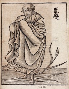 Portrait de Bodhidharma - Unbekannt