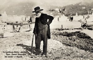 Professeur Ernst Haeckels à Rapallo, Italie (photo en noir et blanc) - Unbekannt