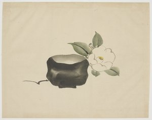 Bol à thé Raku et Camélia blanc