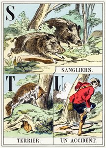S T U : Sanglier, Terrier, Un accident - L