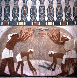 Scène de battage du blé, tombe de Nakht, salle des tombes des nobles. Vallée des Nobles. Site de Louxor, Égypte