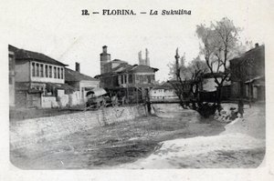 Serbie, Florina (actuelle Grèce) : vue de la Sukulina - Carte postale 1914-1918 - William M. Timlin