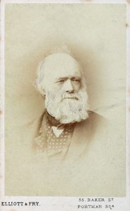 Sir Charles Lyell, géologue anglais, vers 1865-1875