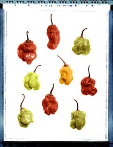 Nature morte de poivrons jaunes, rouges et verts