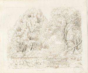 Tamworth - Vue rurale : dessin à l