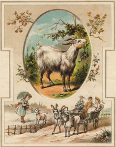 La chèvre. Gravure dans "Mon premier Grand Alphabet". Édition Bernardin-Bechet, Paris, vers 1890. Illustrations par A. des Lilleuls. Pas de page, 46 pages - Unbekannt