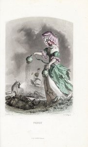 La fée du pavot saupoudre des capsules d