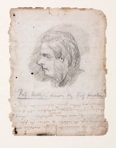 Thomas Henry Huxley, biologiste anglais, milieu-fin 19e siècle