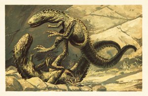 Deux Dryptosaurus aquilunguis combattant. 1908 - Unbekannter Künstler