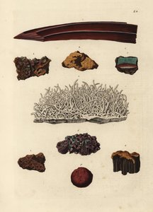 Variétés de minerai de fer - Unbekannter Künstler