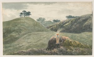 Walton-on-the-Hill - Cannock Chase: aquarelle, vers 19e siècle - Unbekannt