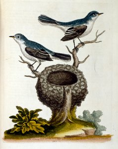 Illustration à l