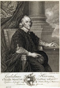 William Harvey, médecin anglais
