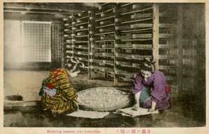 Femmes mûrissant des cocons de vers à soie - Unbekannter Künstler