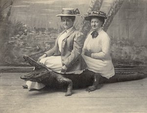 Femmes assises sur un alligator empaillé, vers 1905