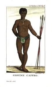 Jeune homme San, avec des lances, Afrique du Sud. De François Le Vaillant - Unbekannter Künstler