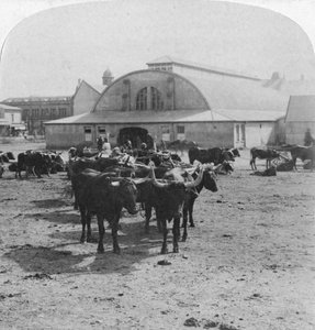 Bâtiment où les prisonniers de guerre ont été jugés, Pretoria, Afrique du Sud, Guerre des Boers, 1901