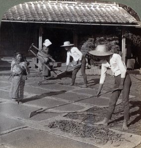 Agriculteurs avec des râteaux en bambou étalant du millet sur des nattes pour sécher pour l