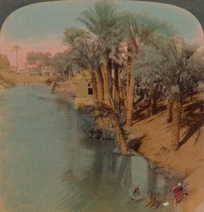 Dans le Fayoum, l