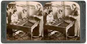 Fabrication de la soie, Syrie, années 1900 - Underwood and Underwood