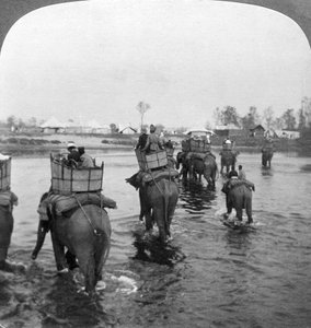 Retour au camp après une journée de chasse dans la jungle de Behar, Inde, 1909