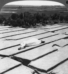 Vue de Thèbes et des colosses de Memnon, vue depuis le Ramesseum, Égypte, 1905