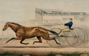 La célèbre jument de trot Lady Thorn