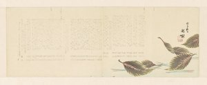 Feuilles tombées