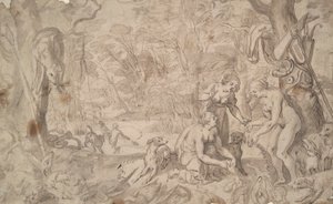 Nymphes dans le bois