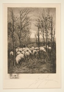 Moutons dans le Pâturage - Unknown