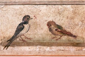 Hirondelle et moineau, peinture murale romaine de Boscoreale près de Pompéi, 1er siècle